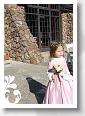 2007NovThanksgivingandRickWedding 087